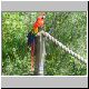 227-Scarlet_Macaw.jpg