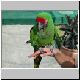 261-Military_Macaw.jpg