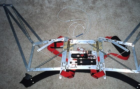 Wings2_t.jpg (66303 bytes)