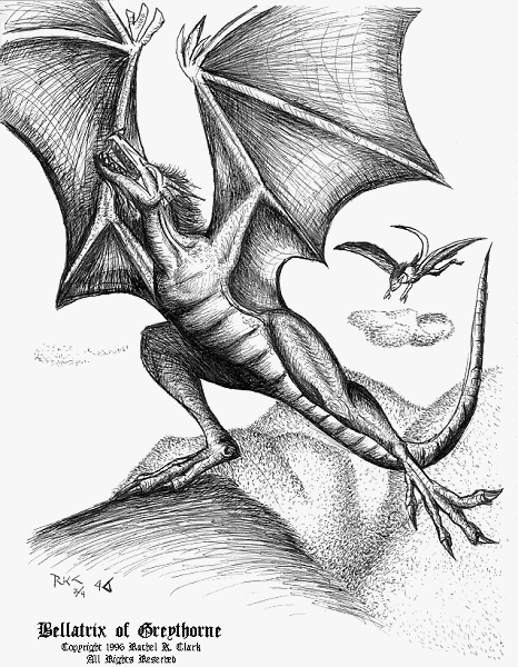  on Genesis drawing paper Both the dragon Bellatrix and the gargoyle 